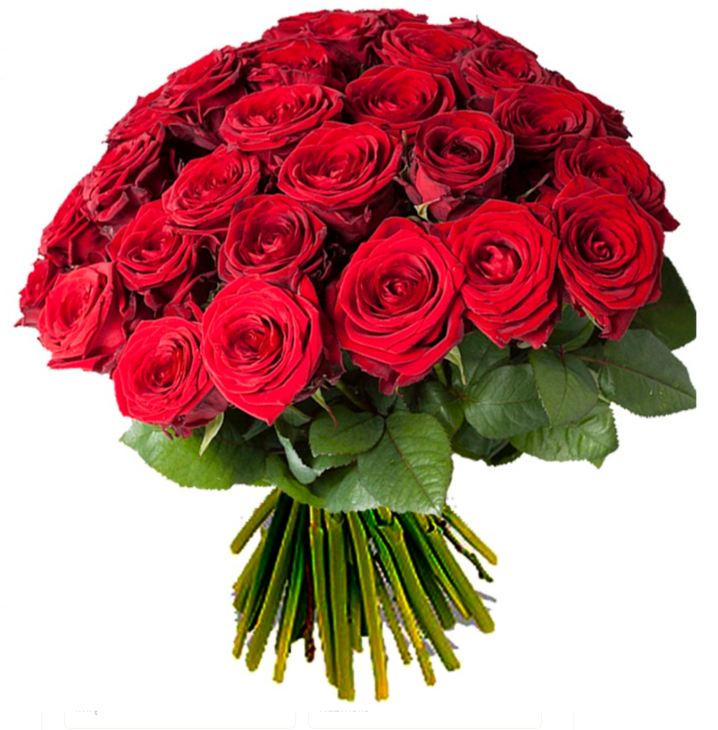 Снимок экрана 2026 01 29 121507