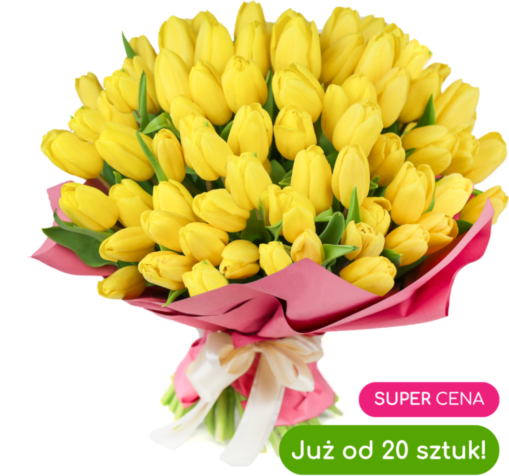 Снимок экрана 2026 01 29 123526