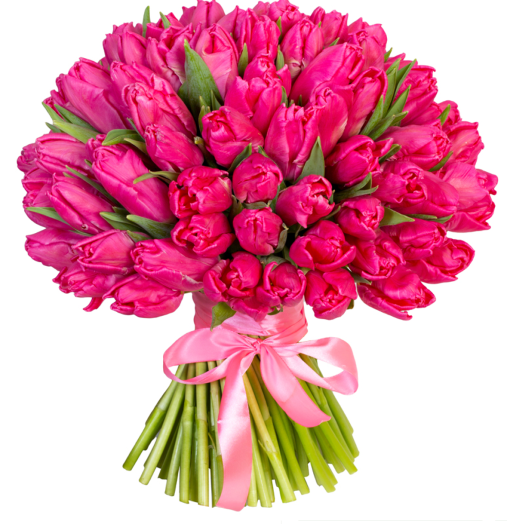 Снимок экрана 2026 01 29 123746